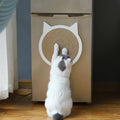 Scratching Board