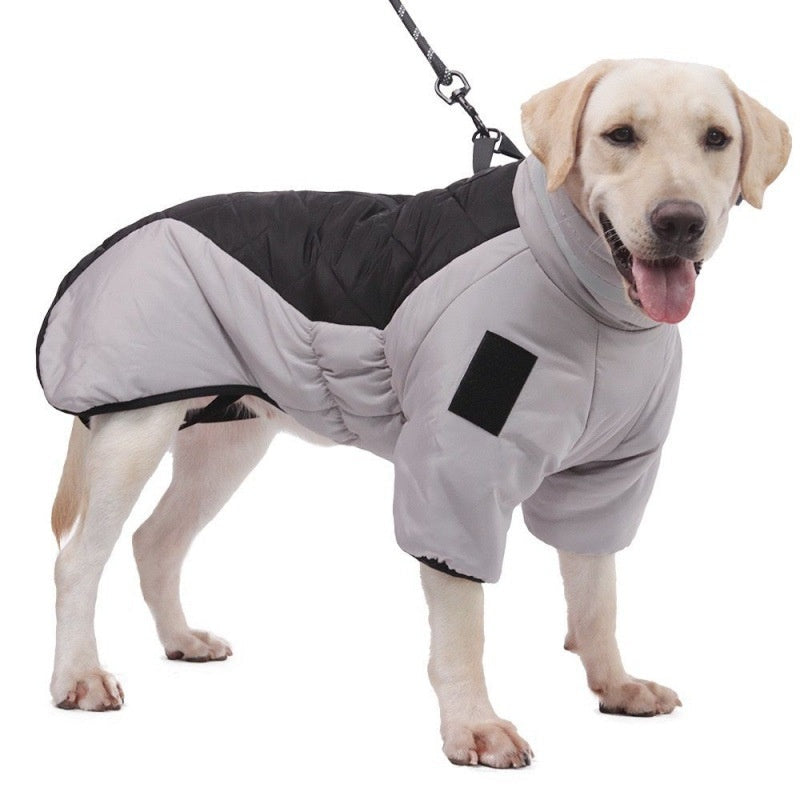Dog Warm and Cozy in Style